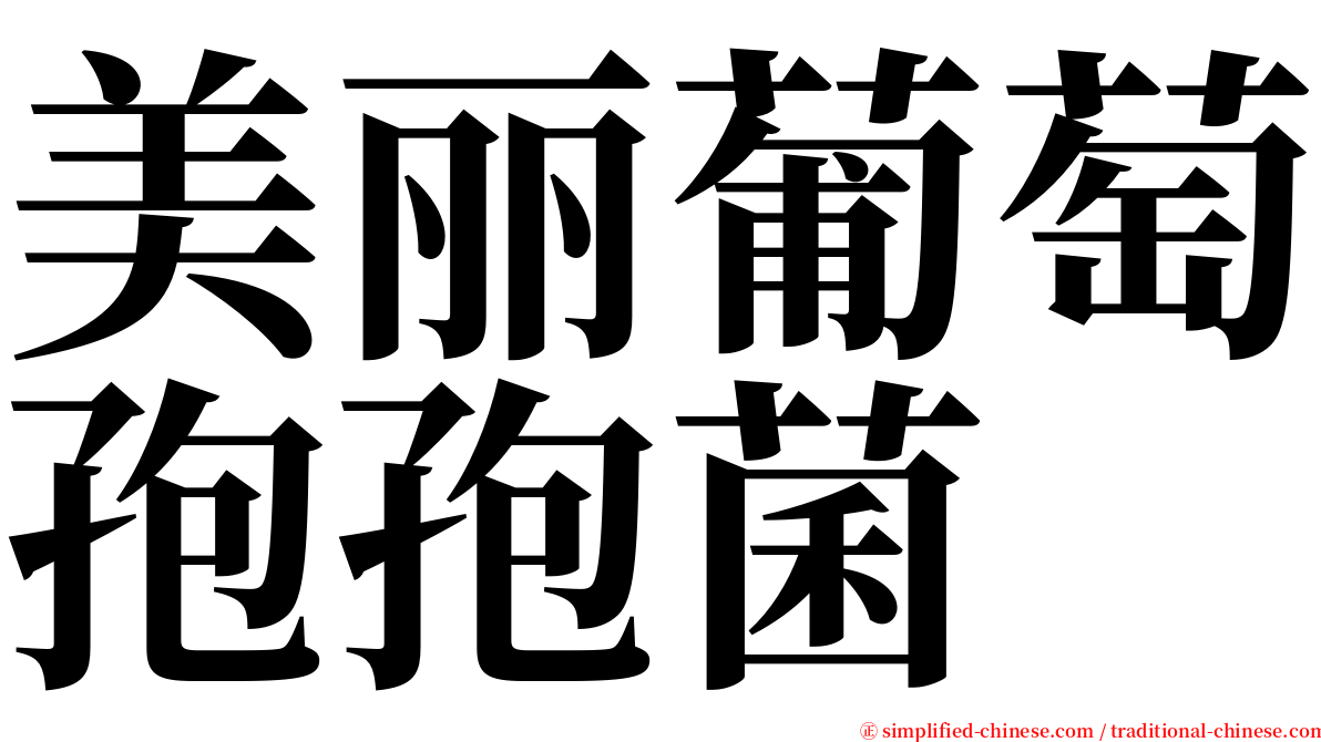 美丽葡萄孢孢菌 serif font