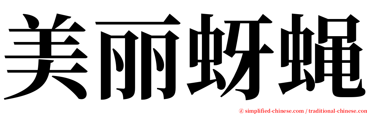 美丽蚜蝇 serif font