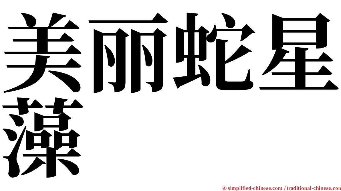 美丽蛇星藻 serif font