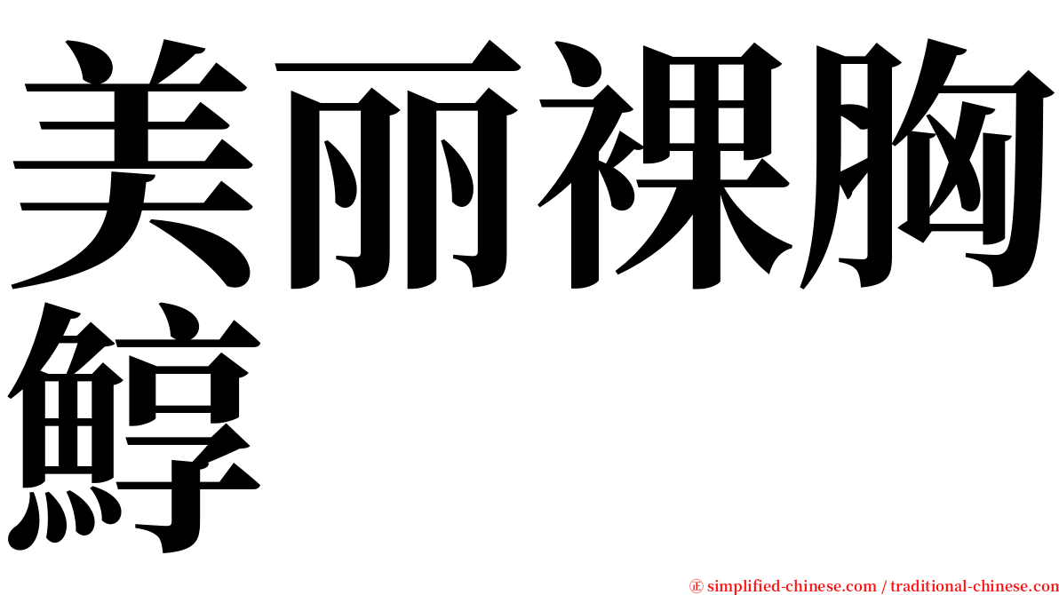 美丽裸胸鯙 serif font