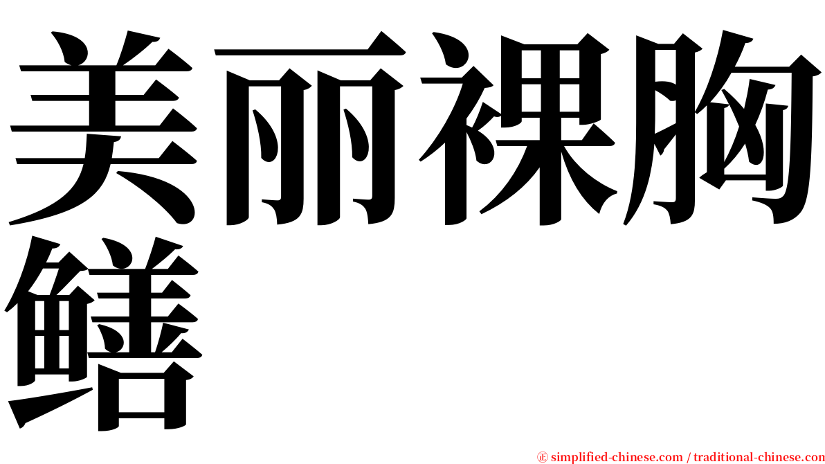 美丽裸胸鳝 serif font