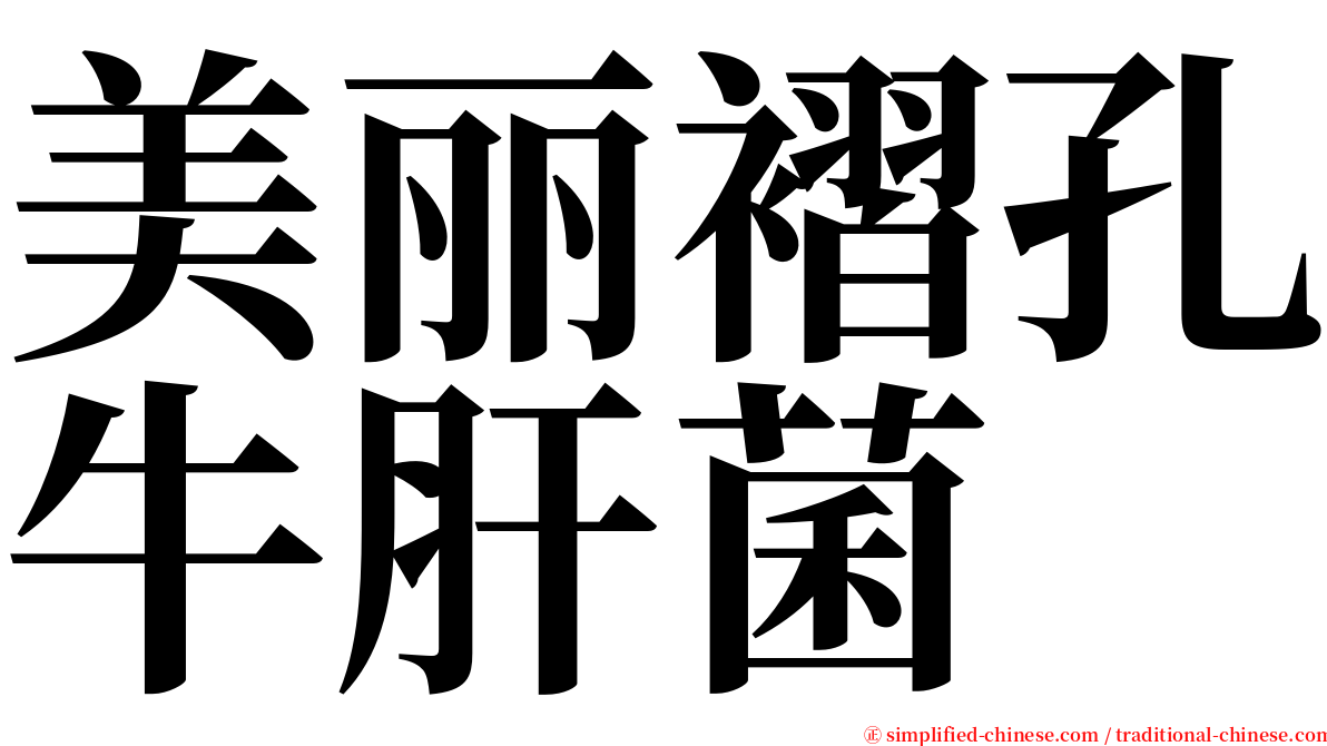 美丽褶孔牛肝菌 serif font