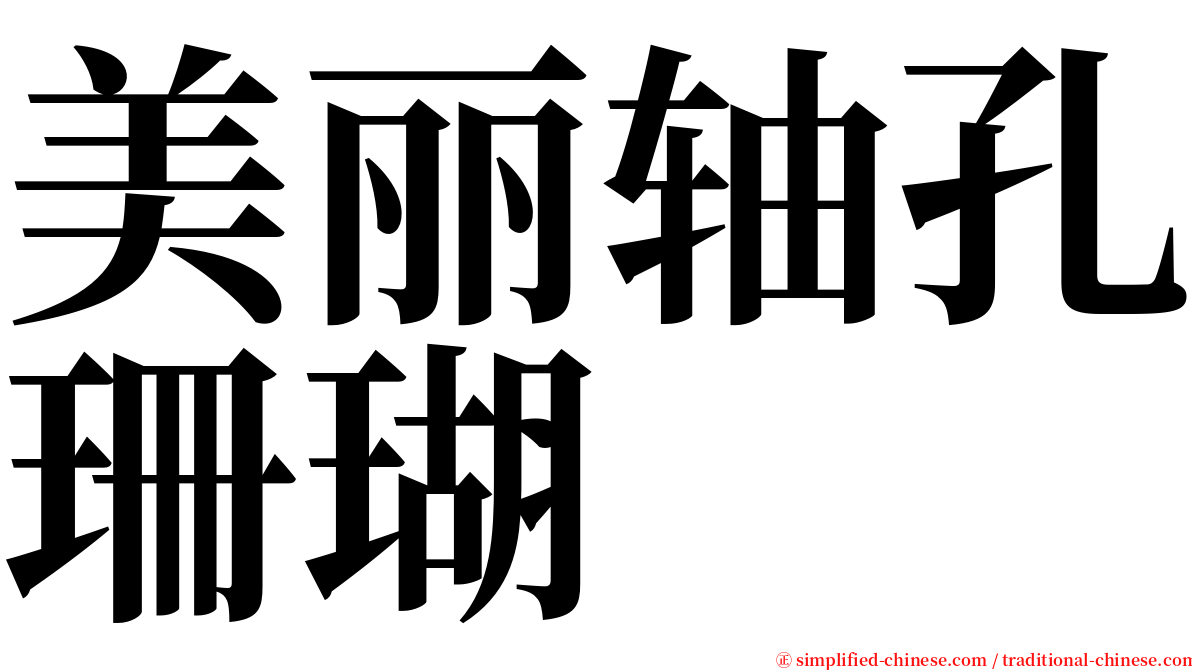 美丽轴孔珊瑚 serif font