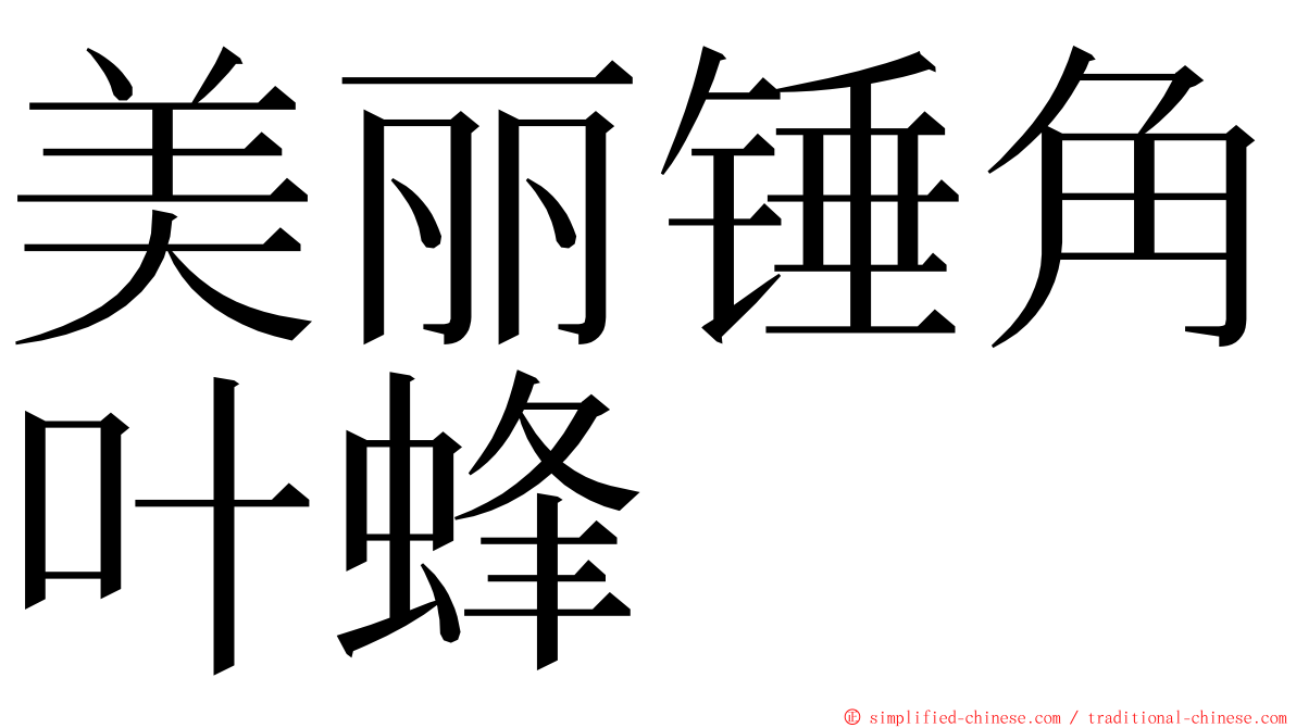 美丽锤角叶蜂 ming font