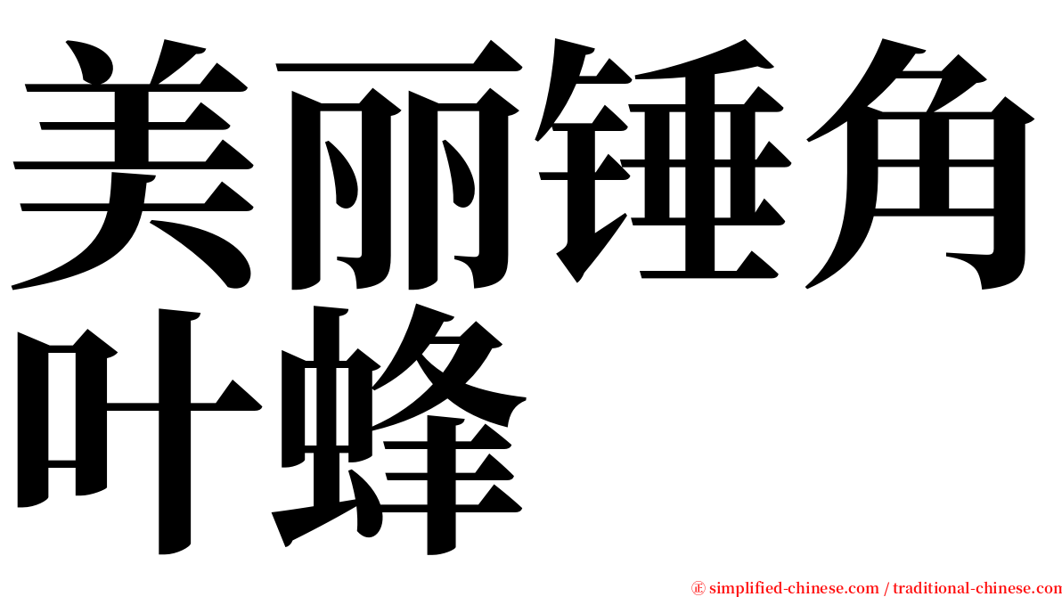 美丽锤角叶蜂 serif font