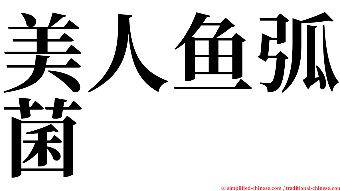 美人鱼弧菌 serif font