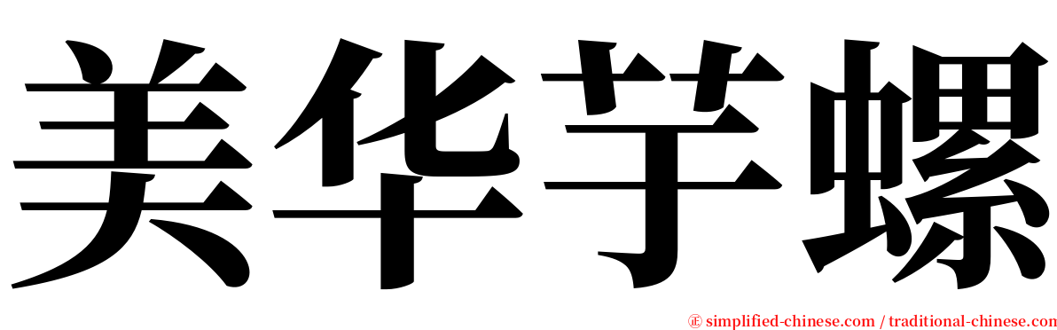 美华芋螺 serif font