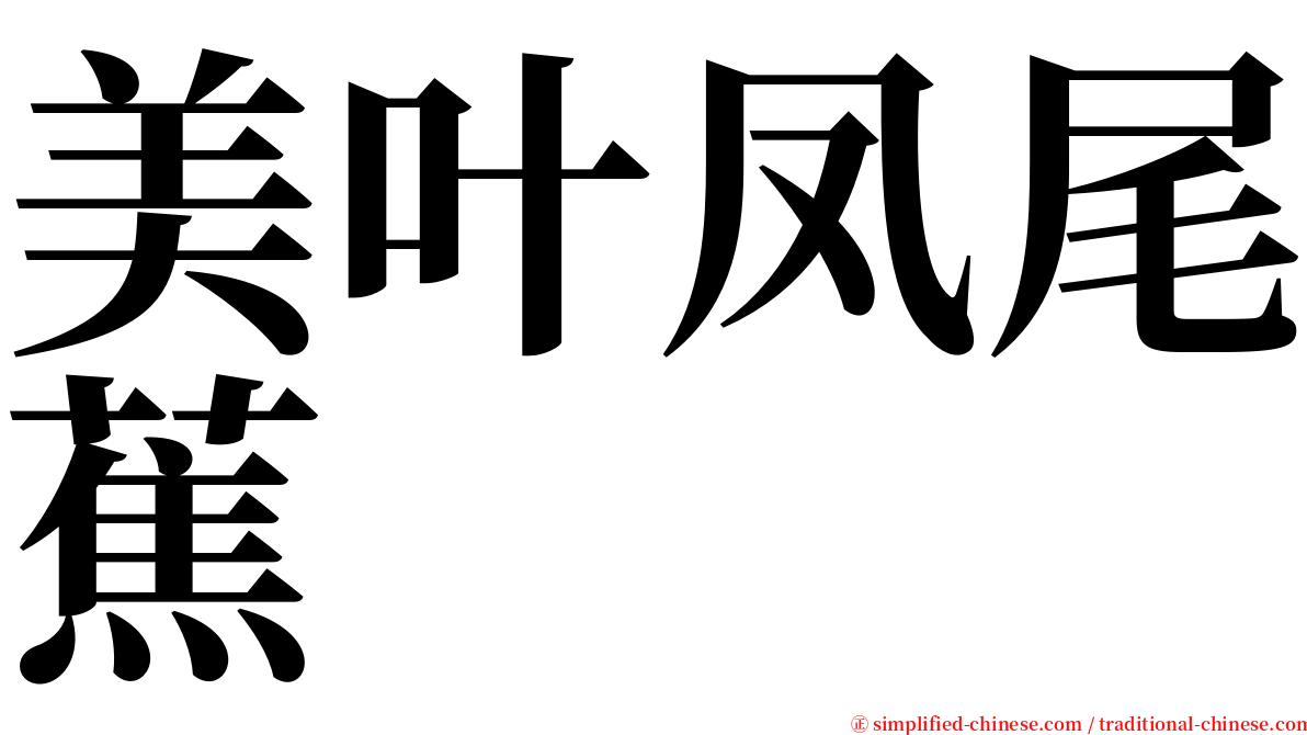 美叶凤尾蕉 serif font