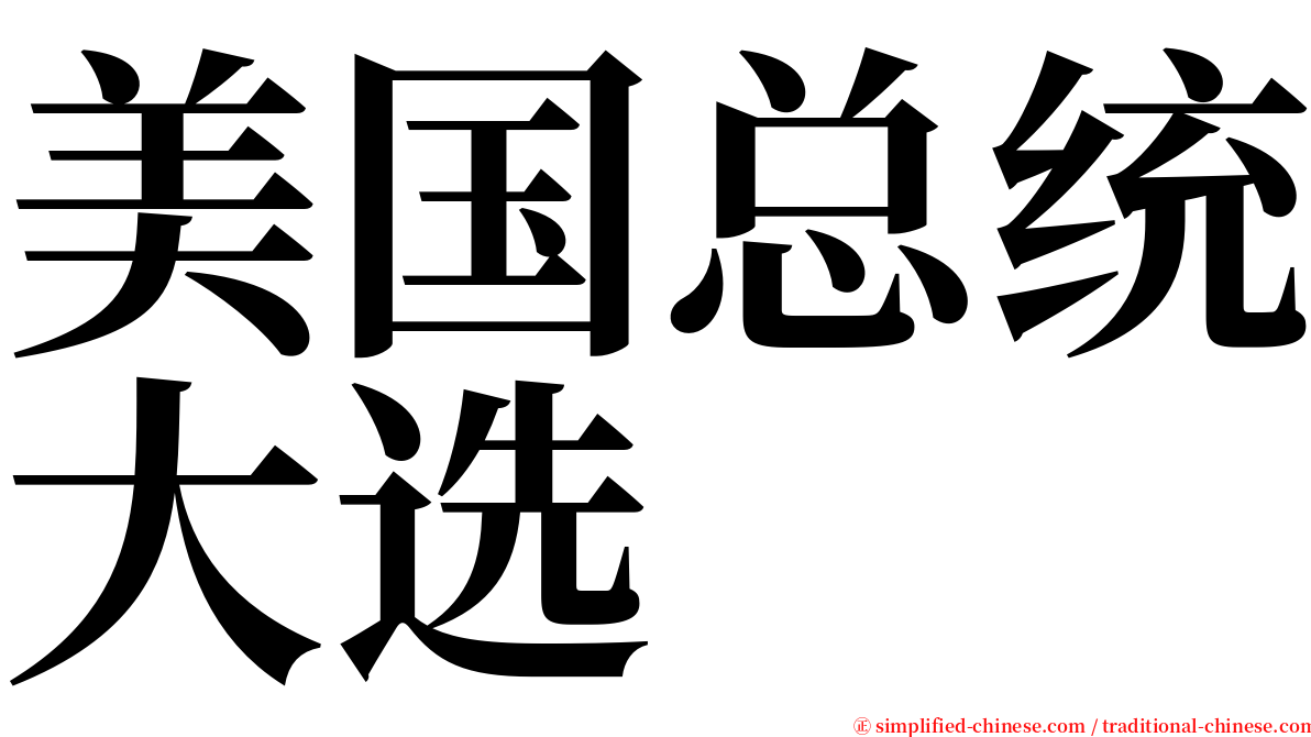 美国总统大选 serif font