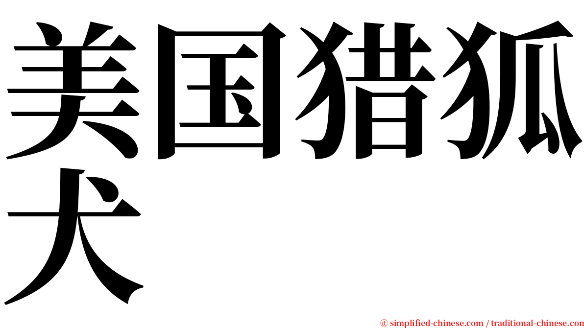 美国猎狐犬 serif font