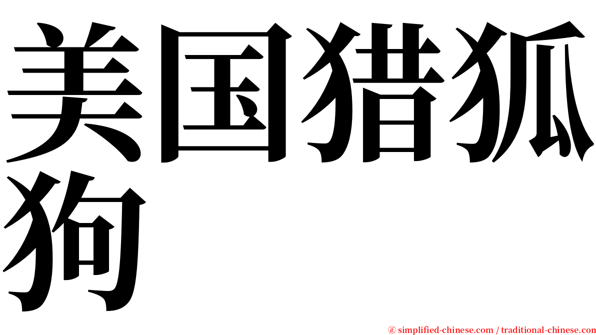 美国猎狐狗 serif font