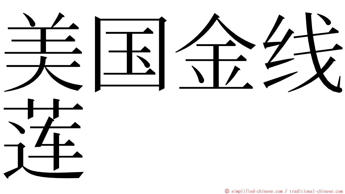 美国金线莲 ming font