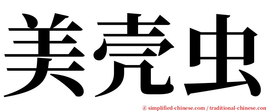 美壳虫 serif font