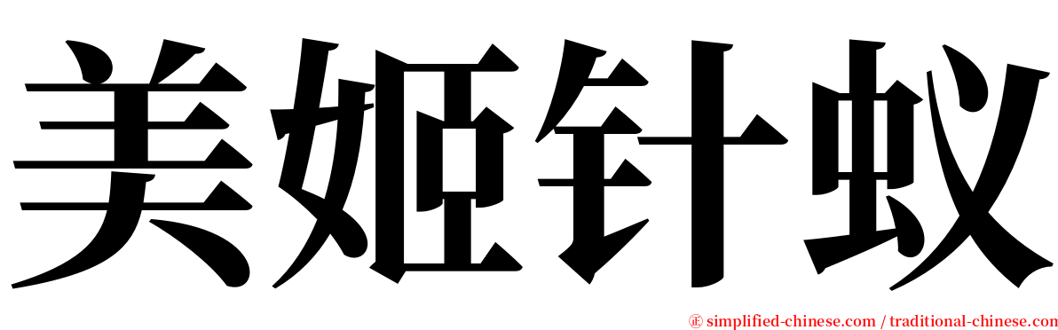 美姬针蚁 serif font