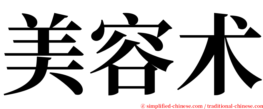 美容术 serif font