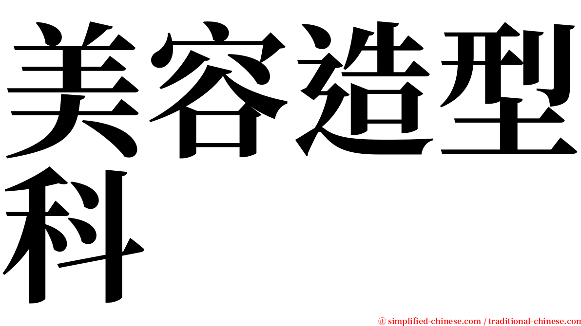 美容造型科 serif font