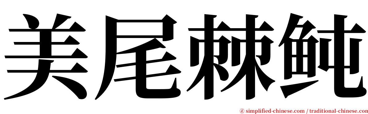 美尾棘鲀 serif font