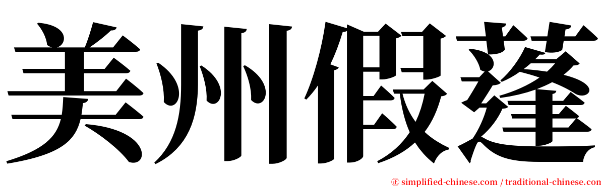 美州假蓬 serif font