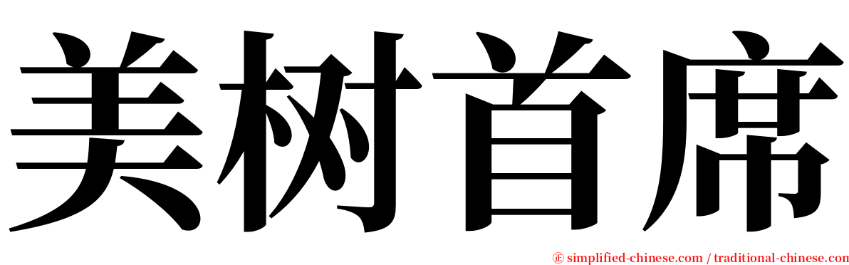 美树首席 serif font