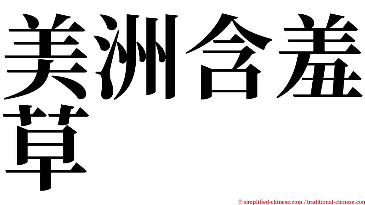 美洲含羞草 serif font