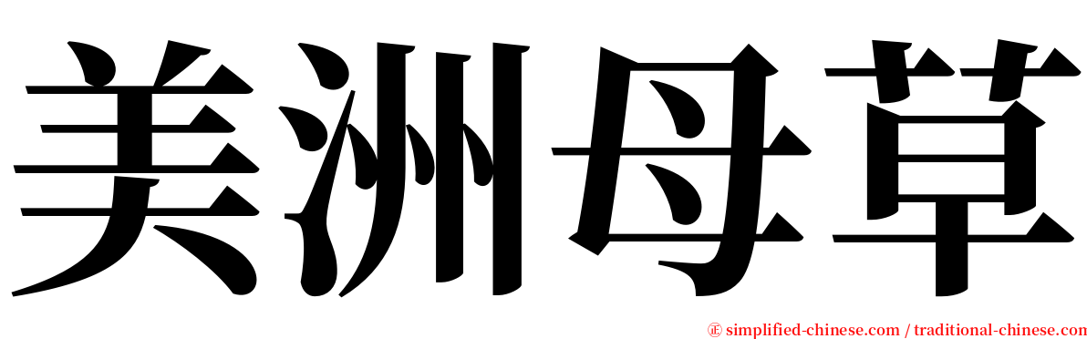 美洲母草 serif font