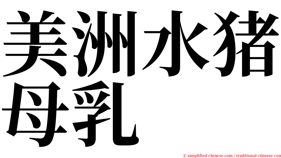 美洲水猪母乳 serif font