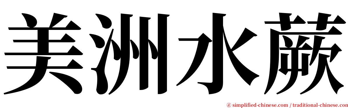 美洲水蕨 serif font