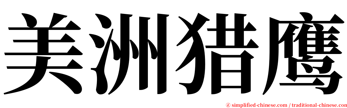 美洲猎鹰 serif font