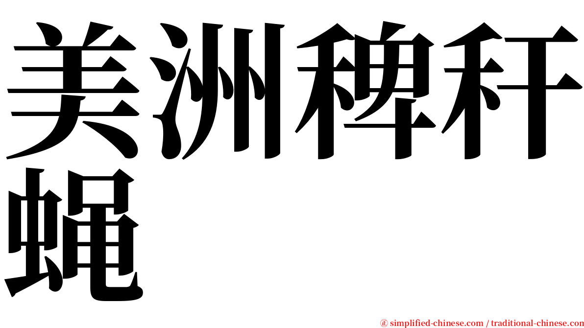 美洲稗秆蝇 serif font