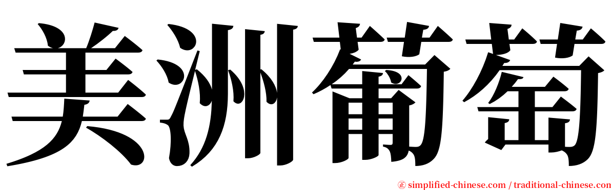 美洲葡萄 serif font