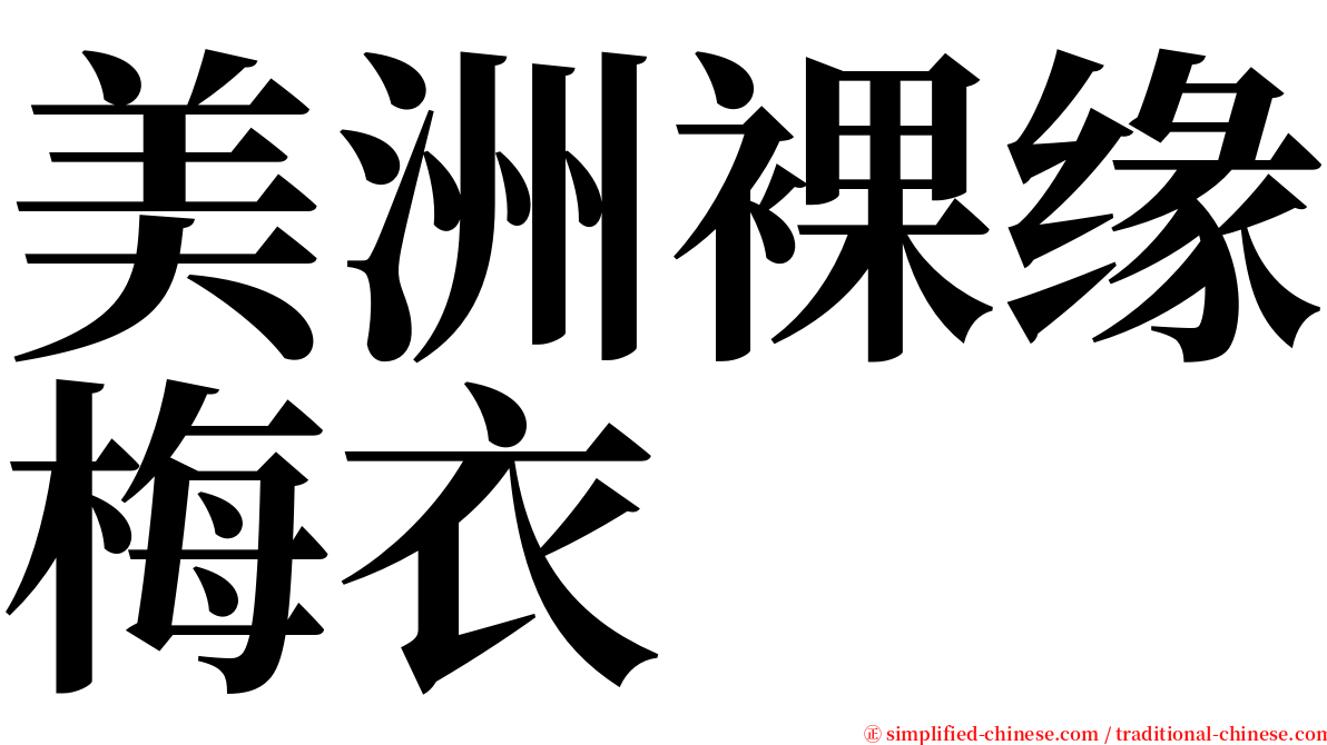 美洲裸缘梅衣 serif font