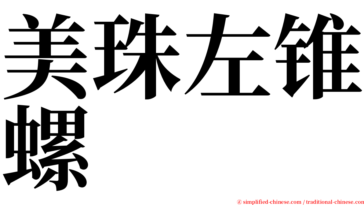 美珠左锥螺 serif font