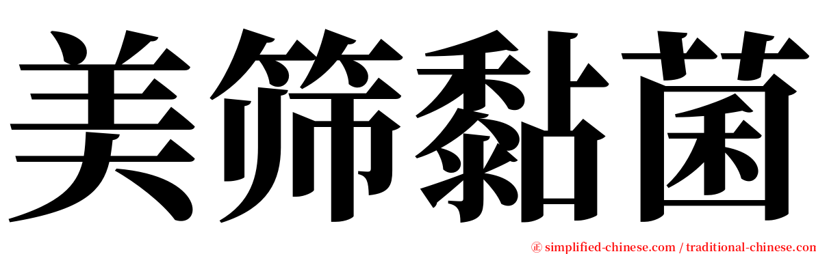 美筛黏菌 serif font