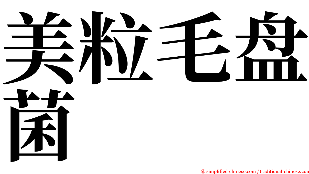 美粒毛盘菌 serif font