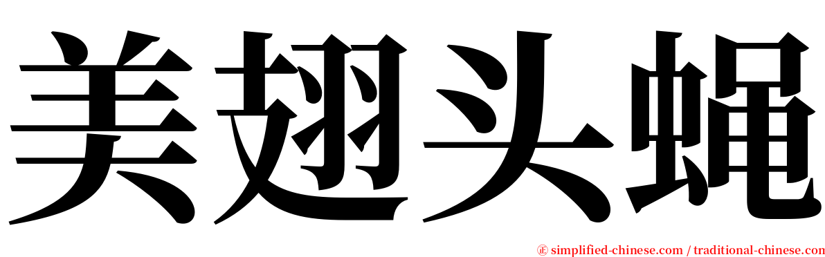 美翅头蝇 serif font