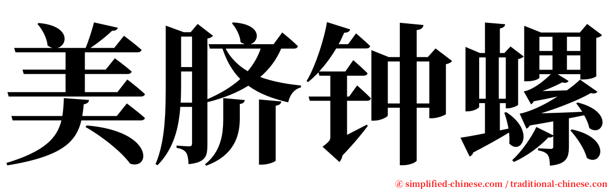 美脐钟螺 serif font