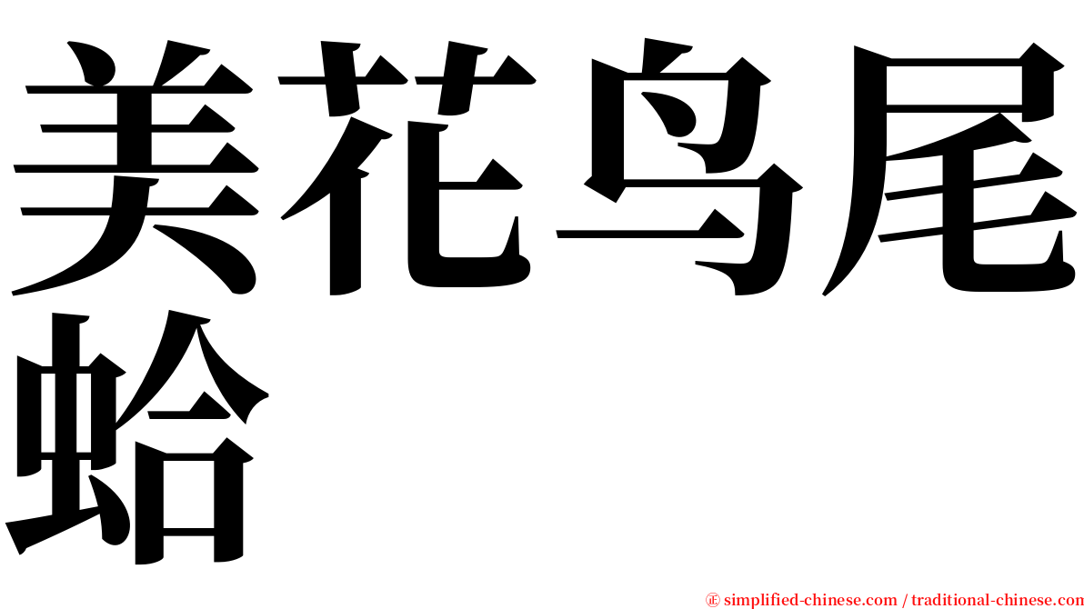 美花鸟尾蛤 serif font