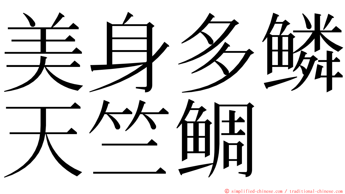 美身多鳞天竺鲷 ming font