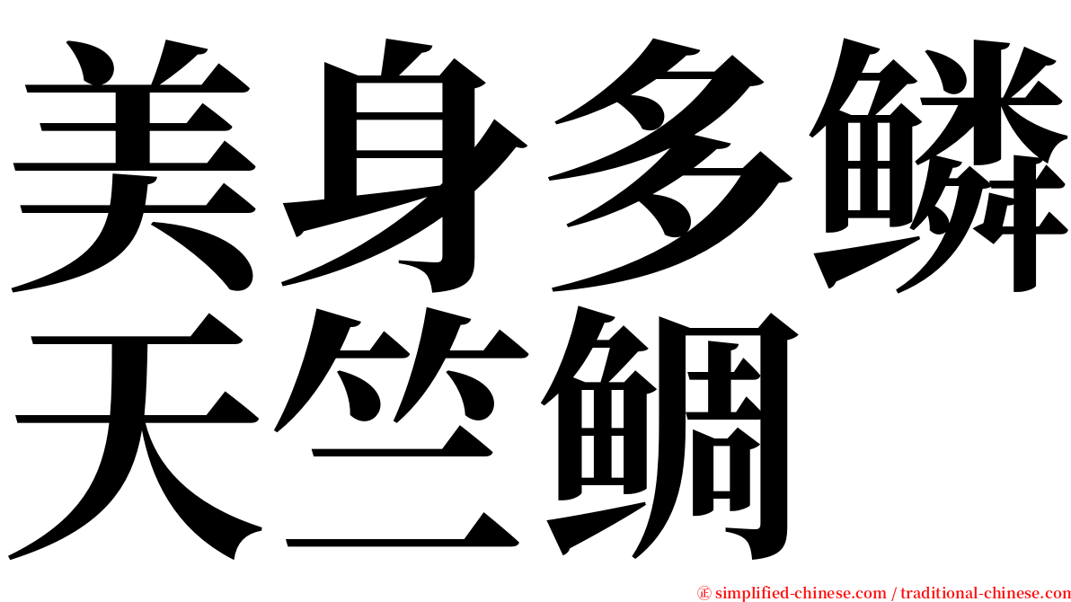 美身多鳞天竺鲷 serif font