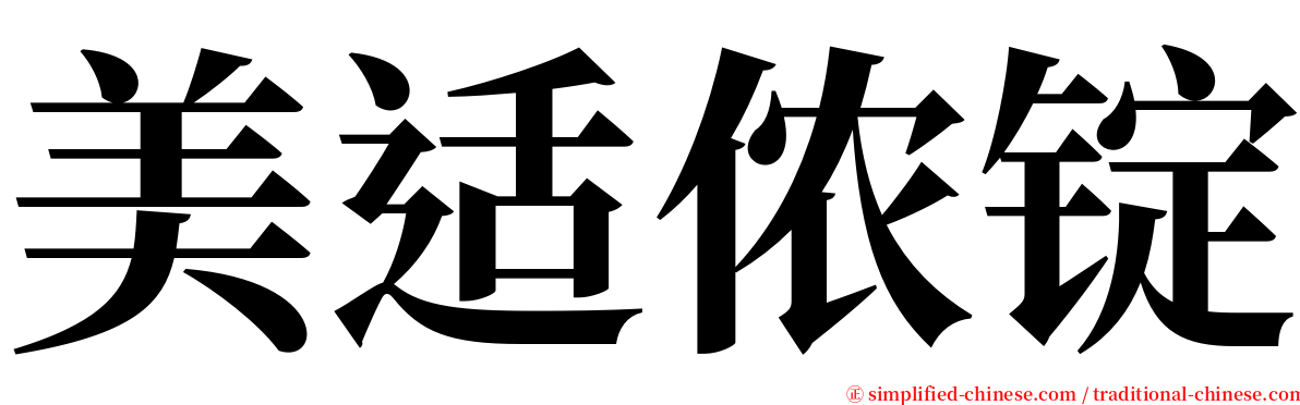 美适侬锭 serif font