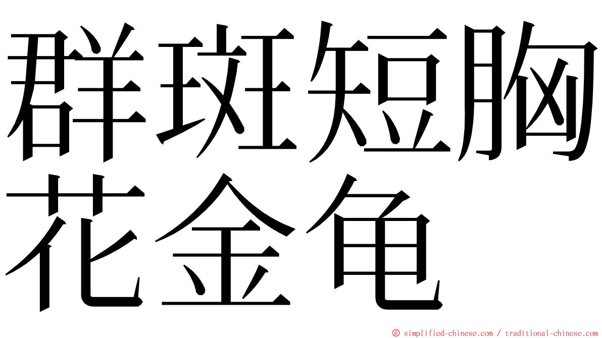 群斑短胸花金龟 ming font