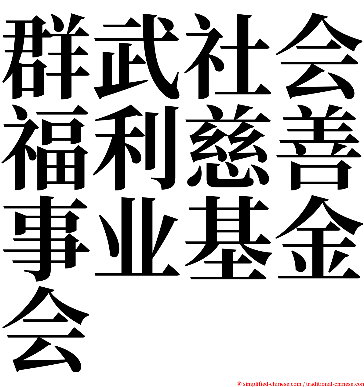 群武社会福利慈善事业基金会 serif font