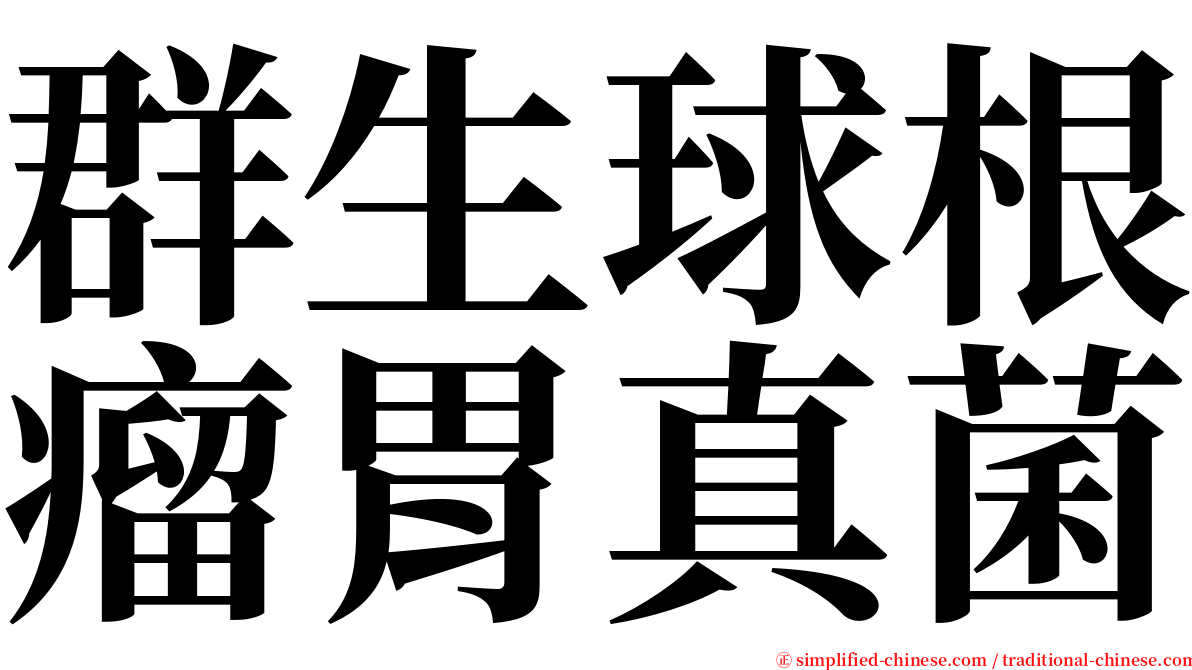 群生球根瘤胃真菌 serif font