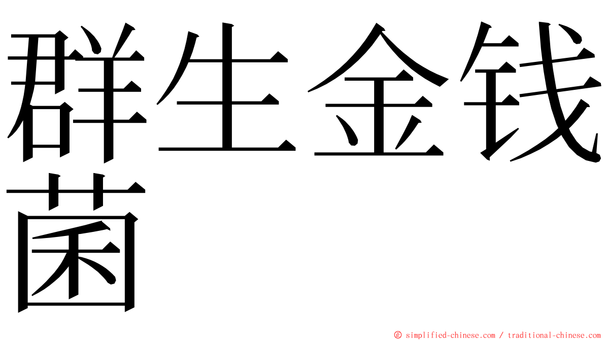 群生金钱菌 ming font