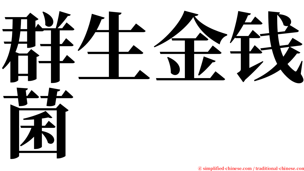 群生金钱菌 serif font