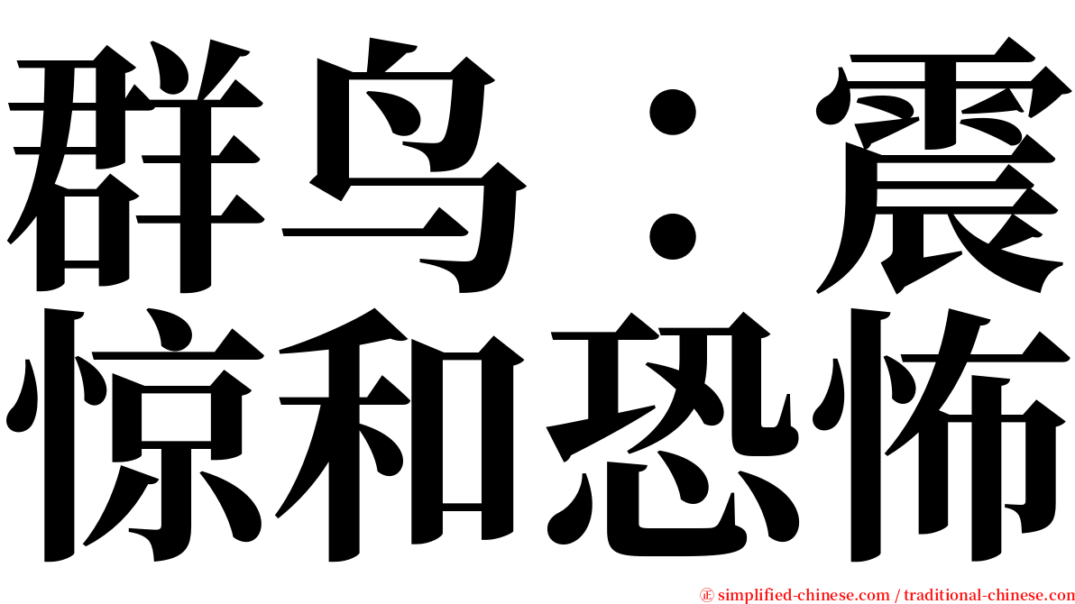 群鸟：震惊和恐怖 serif font