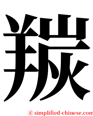 羰 serif font