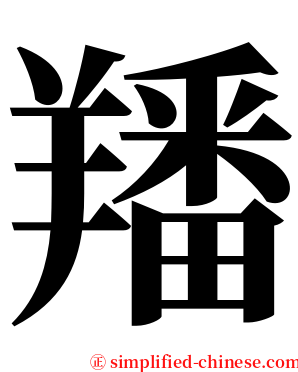 羳 serif font