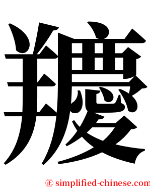 羻 serif font