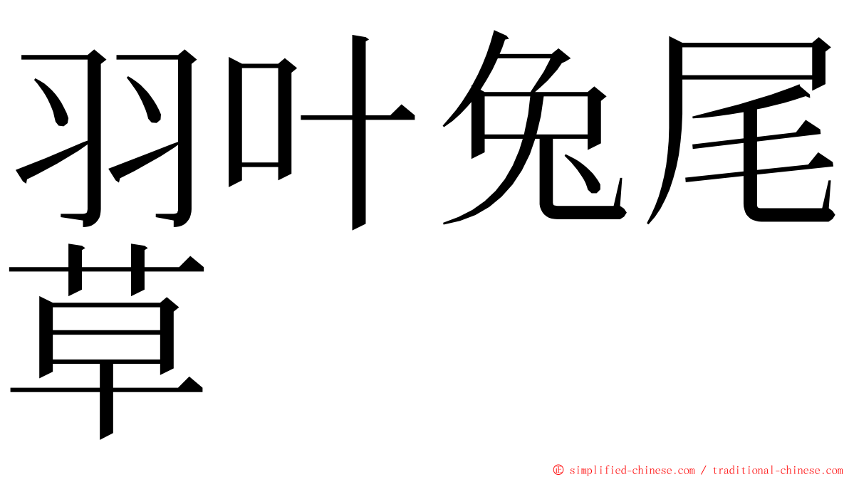 羽叶兔尾草 ming font